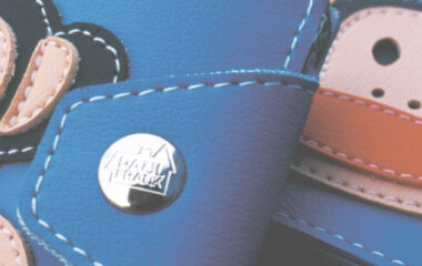 paulfrankinteriortrans