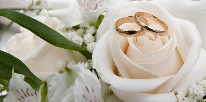 Danielshomepagemainfullcolor